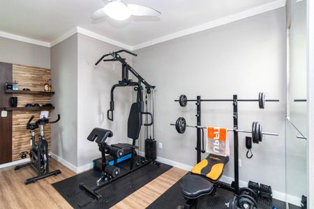 Apartamento à venda com 239m², 4 quartos e 4 vagasÁrea comum - Academia