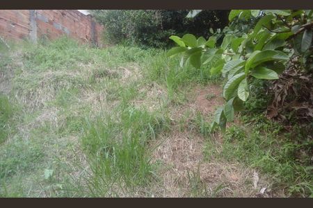 Casa à venda com 4 quartos, 244m² em Vila Tibiriçá, Santo André