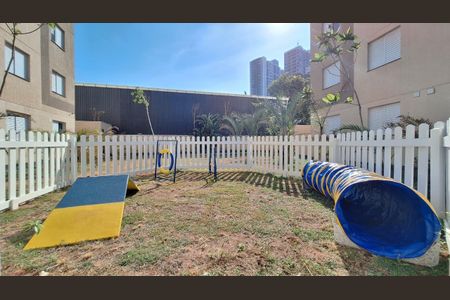 Apartamento para alugar com 54m², 2 quartos e sem vagaPet Place