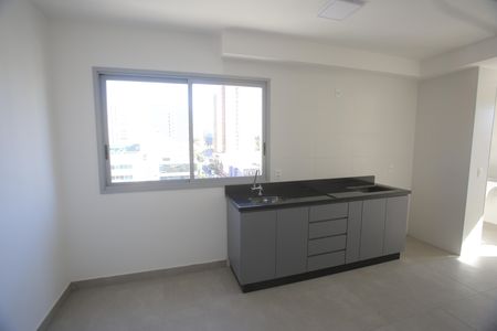 Cozinha de apartamento para alugar com 2 quartos, 61m² em Barro Preto, Belo Horizonte