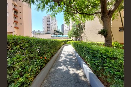 Apartamento para alugar com 85m², 2 quartos e 1 vaga Apartamento para alugar com 85m², 2 quartos e 1 vagaÁrea comum