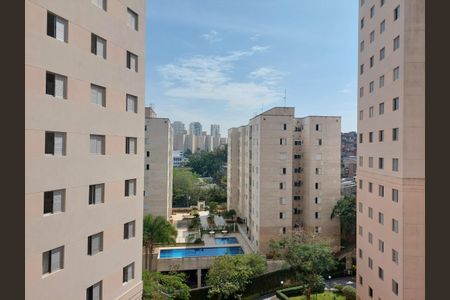 Apartamento para alugar com 85m², 2 quartos e 1 vaga Apartamento para alugar com 85m², 2 quartos e 1 vagaVista do Quarto 1