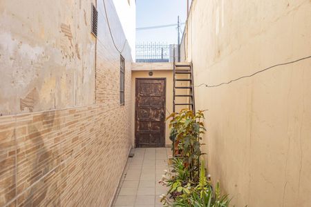 Casa à venda com 314m², 4 quartos e 3 vagasQuintal