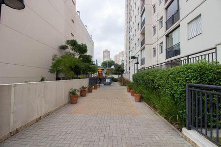 Apartamento para alugar com 45m², 2 quartos e 1 vaga Apartamento para alugar com 45m², 2 quartos e 1 vagaÁrea comum