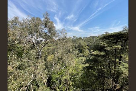 Vista de apartamento à venda com 4 quartos, 145m² em Rio Pequeno, São Paulo
