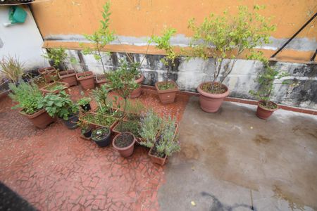 Casa à venda com 169m², 3 quartos e 2 vagas Casa à venda com 169m², 3 quartos e 2 vagasQuintal