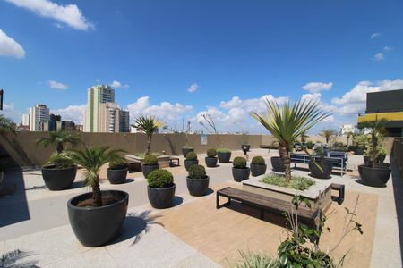 Apartamento para alugar com 34m², 1 quarto e sem vagaÁrea Comum