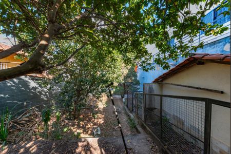 Casa à venda com 300m², 3 quartos e 4 vagasQuintal 2