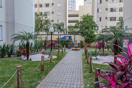 Área comum de apartamento para alugar com 2 quartos, 44m² em Jardim Iris, São Paulo