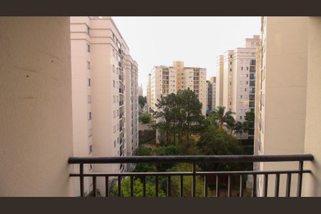 Varanda Sala de apartamento para alugar com 2 quartos, 51m² em Vila Ivone, São Paulo