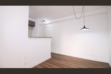 Sala de apartamento para alugar com 2 quartos, 51m² em Vila Ivone, São Paulo