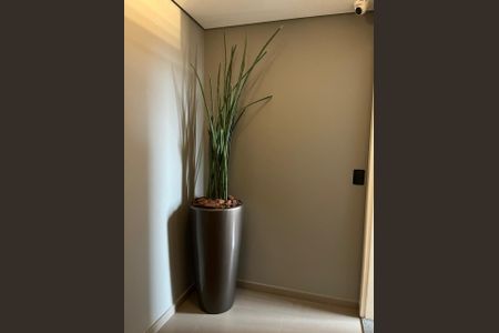 Apartamento à venda com 215m², 3 quartos e 3 vagas