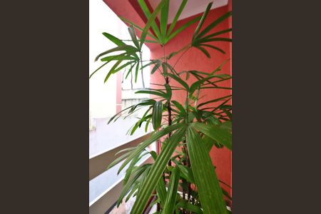 Sala Sacada de casa de condomínio à venda com 3 quartos, 205m² em Baeta Neves, São Bernardo do Campo