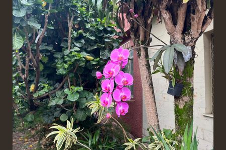 Casa à venda com 250m², 2 quartos e 3 vagas Casa à venda com 250m², 2 quartos e 3 vagasJardim