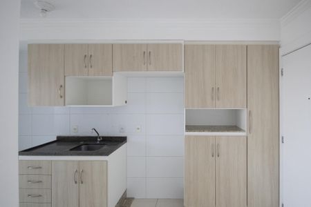 Apartamento à venda com 48m², 2 quartos e 1 vagaCozinha - Armários