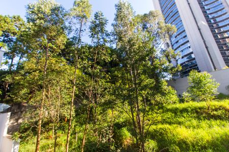 Apartamento para alugar com 66m², 2 quartos e 2 vagasVista