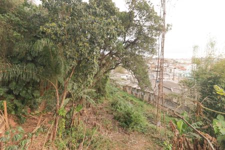 Casa para alugar com 1000m², 3 quartos e 4 vagasSacada/Suite