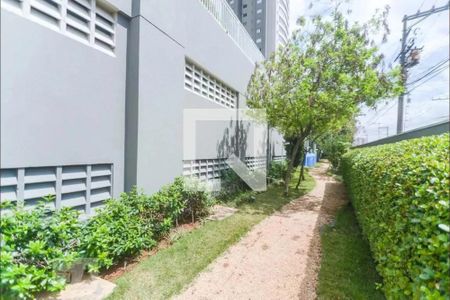 Apartamento à venda com 82m², 3 quartos e 1 vaga Apartamento à venda com 82m², 3 quartos e 1 vagaÁrea comum - Espaço Pet