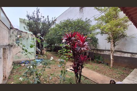 Casa à venda com 390m², 4 quartos e 6 vagas Casa à venda com 390m², 4 quartos e 6 vagasQuintal