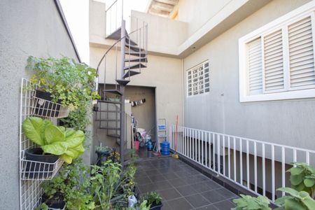 Casa à venda com 330m², 5 quartos e 2 vagas Casa à venda com 330m², 5 quartos e 2 vagasQuintal