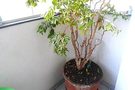 Apartamento à venda com 70m², 2 quartos e 2 vagas