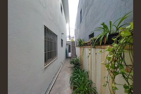 Casa à venda com 173m², 3 quartos e 2 vagas Casa à venda com 173m², 3 quartos e 2 vagasQuintal