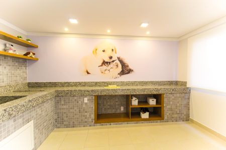 Apartamento para alugar com 33m², 2 quartos e sem vaga Apartamento para alugar com 33m², 2 quartos e sem vagaPet care