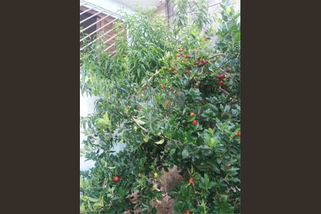 Casa à venda com 2 quartos, 120m² em Vila California(Zona Sul), São Paulo