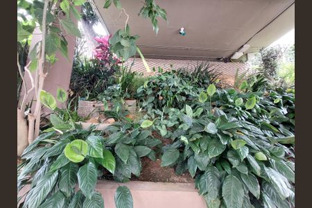 Apartamento à venda com 64m², 3 quartos e 1 vagaÁrea Comum