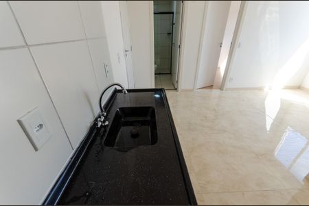 Apartamento para alugar com 34m², 2 quartos e sem vagaCozinha
