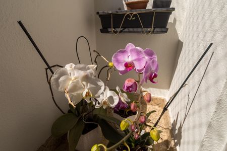 Apartamento à venda com 60m², 2 quartos e 1 vaga Apartamento à venda com 60m², 2 quartos e 1 vagaVaranda da Sala