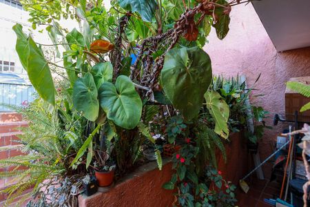 Casa à venda com 280m², 4 quartos e 4 vagasEntrada e jardim