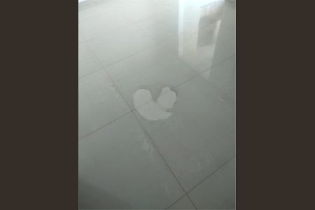 Apartamento à venda com 2 quartos, 81m² em Moinho Velho, São Paulo