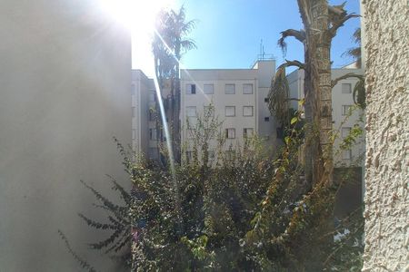 Vista da sala  de apartamento para alugar com 2 quartos, 55m² em Jardim Miranda, Campinas