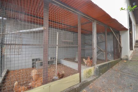 Casa para alugar com 3000m², 4 quartos e 4 vagas Casa para alugar com 3000m², 4 quartos e 4 vagasQuintal