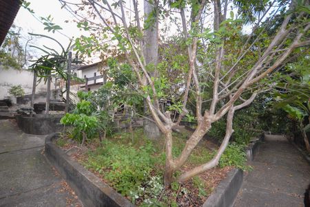 Casa para alugar com 3000m², 4 quartos e 4 vagas Casa para alugar com 3000m², 4 quartos e 4 vagasQuintal