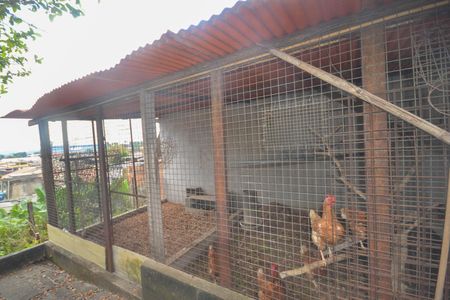 Casa para alugar com 3000m², 4 quartos e 4 vagas Casa para alugar com 3000m², 4 quartos e 4 vagasQuintal