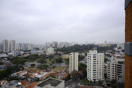 Apartamento à venda com 623m², 4 quartos e 6 vagasVista da Cobertura
