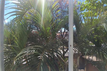 Vista do Quarto 1  de apartamento à venda com 2 quartos, 64m² em Vila Mimosa, Campinas