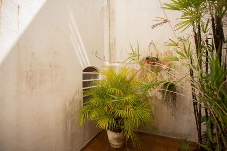 Casa para alugar com 380m², 4 quartos e 4 vagasÁrea Externa