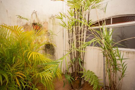 Casa para alugar com 380m², 4 quartos e 4 vagasÁrea Externa