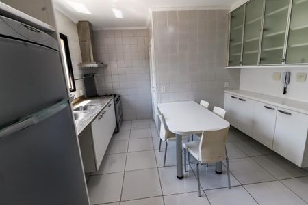 Apartamento para alugar com 154m², 4 quartos e 2 vagasCozinha - Armários
