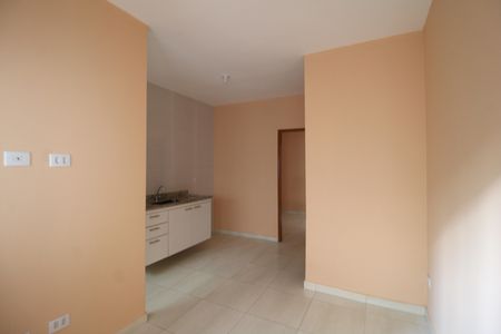 Sala/Cozinha de apartamento para alugar com 1 quarto, 35m² em Vila Mazzei, São Paulo