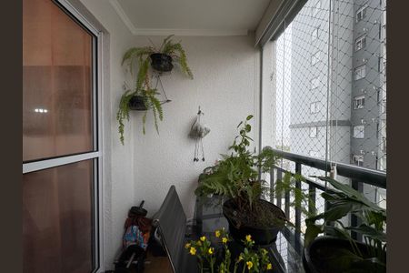 Apartamento à venda com 67m², 3 quartos e 1 vaga Apartamento à venda com 67m², 3 quartos e 1 vagaSacada