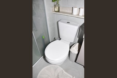  Banheiro Social de apartamento para alugar com 2 quartos, 33m² em Piqueri, São Paulo