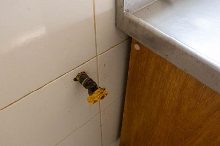 Apartamento para alugar com 108m², 2 quartos e sem vagaCozinha