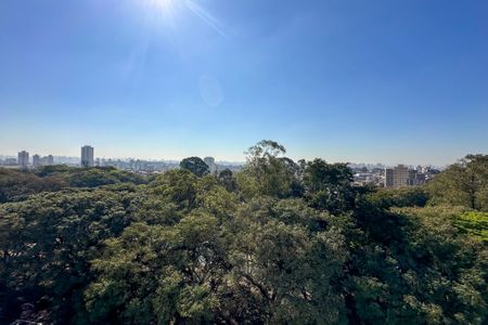 Vista da Suite de apartamento para alugar com 2 quartos, 57m² em Vila das Mercês, São Paulo