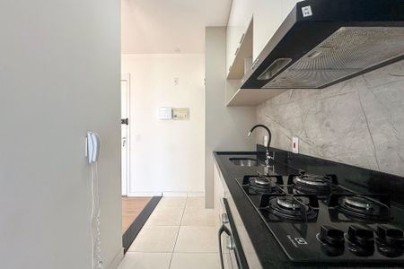 Cozinha de apartamento para alugar com 2 quartos, 57m² em Vila das Mercês, São Paulo