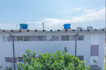 Vista do Quarto 1 de apartamento para alugar com 2 quartos, 51m² em Fundacao da Casa Popular, Campinas