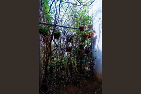 Casa de condomínio para alugar com 160m², 4 quartos e 4 vagasÁrea de Serviço